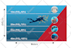 create scientific illustrations, redraw figures, work sheet, graphical abstract
