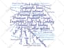 create a beautiful and unique custom tag word cloud for you