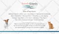 design professional business card