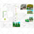 prepare a planting plan for your garden