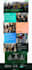 create nonprofit website for your non profit organization