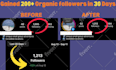 do fast organic instagram growth
