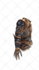 design and create 3d armours