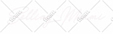 edit, convert and recreate vector files in coreldraw