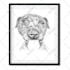 draw digital scribble pet portrait