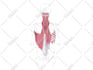 design medical and scientific illustration