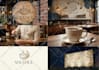 design a professional logo, brand book, and corporate brand identity guidelines
