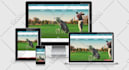 design a professional responsive wordpress website, landing page with divi theme
