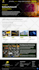 design, build, redesign, develop, clone, update, or customize wordpress website