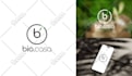 design an outstanding and eye catching logo