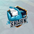design animated twitch stream overlay kick logo, and emotes