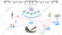 design custom infographic for data visualization and business reports