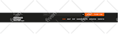 design, fix, customize your wordpress website using enfold theme