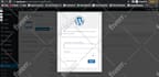 setup or connect custom domain to shopify wordpress wix