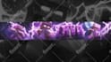 design you a professional minecraft banner