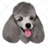 create a custom cartoon vector portrait of your pet