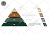 design an engaging infographic, diagram, or pie chart in 24h