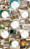 grow your instagram organically with real followers and content strategy