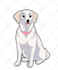 draw pet portrait with disney style