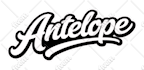 create unique custom graphic and typography t shirt design