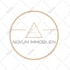 design luxury minimalist instagram logo in 23 hours