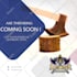 design flyer, handout, leaflet within 24 hrs