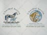 create amazing animal logo with illustration handdrawn style