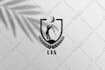 design crest heraldic, emblem and shield logo