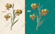 do photos background cutout by photoshop manually super fast