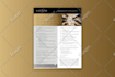 design a professional, winning capability statement