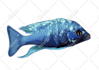 draw of a fish or something into vector illustration