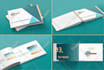 develop brand guidelines to elevate your brand identity