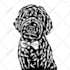 draw your pet in black and white line art illustration