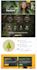 develop a wordpress website for your business
