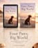do professional kdp print book cover design and ebook cover design