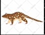 create simple flat realistic vector animal illustrations