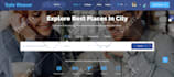 create a professional or responsive wordpress website