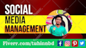 be your youtube video SEO expert to improve ranking