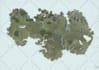 draw fantasy maps for authors and dungeon masters
