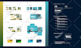 design a premium brand identity and brand guidelines