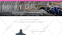design pro shopify website or custom online store setup
