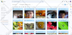 create 500 youtube shorts videos