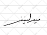 make cool handwritten arabic signatures for english names