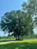 do photoshop editing, background removal photo retouching