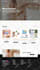 build alidropship aliexpress dropshipping store on wordpress