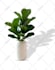 do any photoshop retouching and editing fast delivery