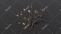 create stylized, low poly models, game props or asset packs