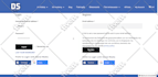 do wordpress woocommerce website customization expert level