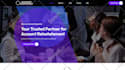 design redesign wordpress website, website development as website builder