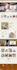 build pro shopify website, shopify store and dropshipping store